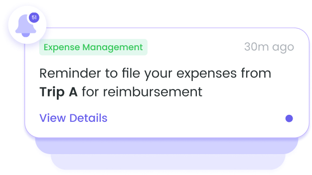 Track Every Employee Expense