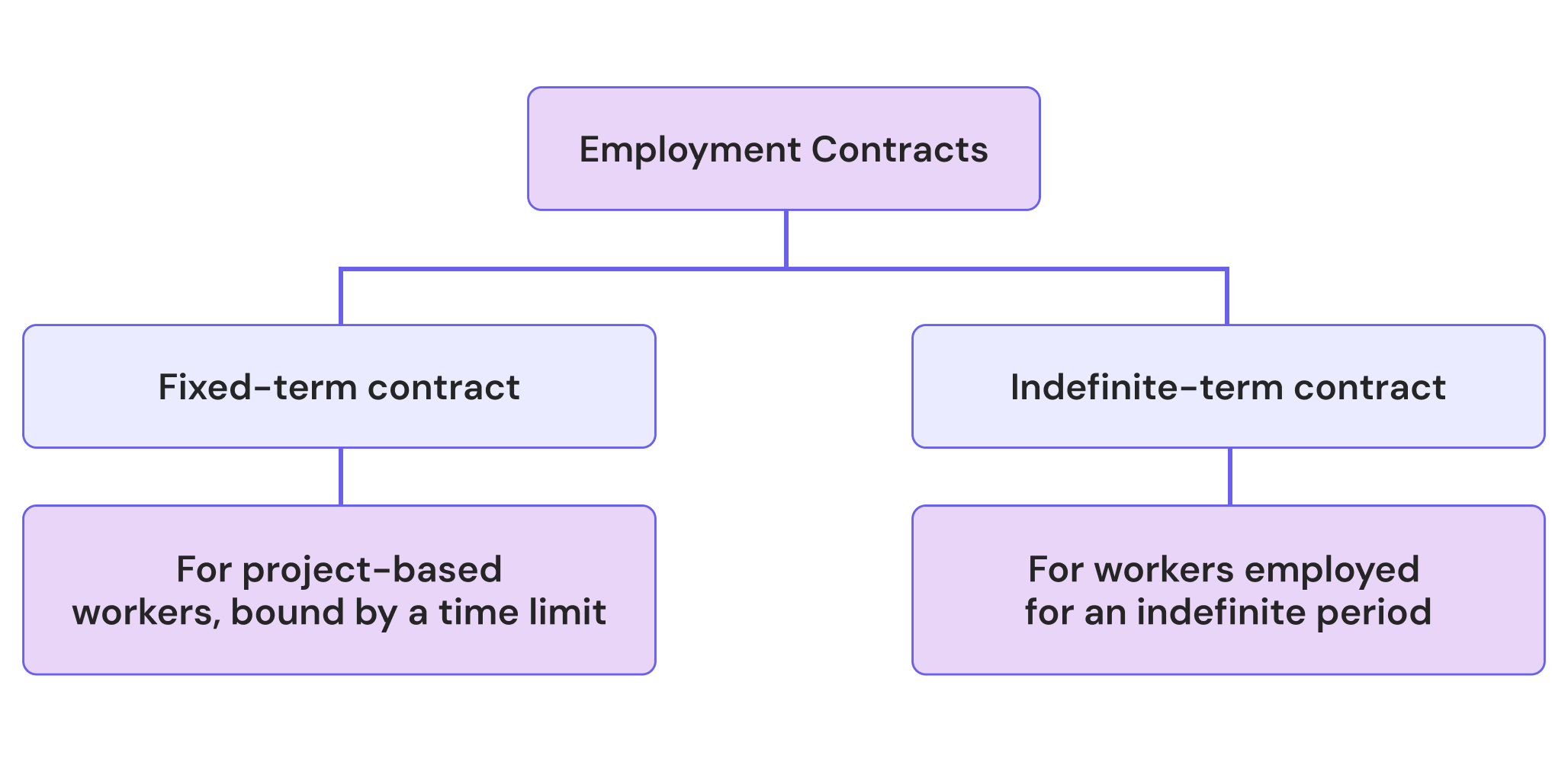 Employment Contract